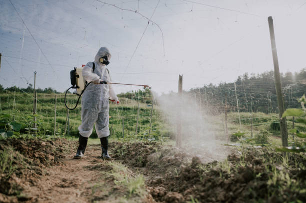 Best Best Pest Control Companies  in La Grande, OR