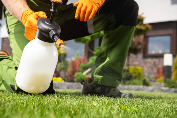 Best Pest Control for Businesses  in La Grande, OR