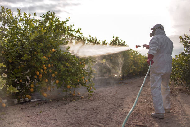 Best Termite Control Services  in La Grande, OR