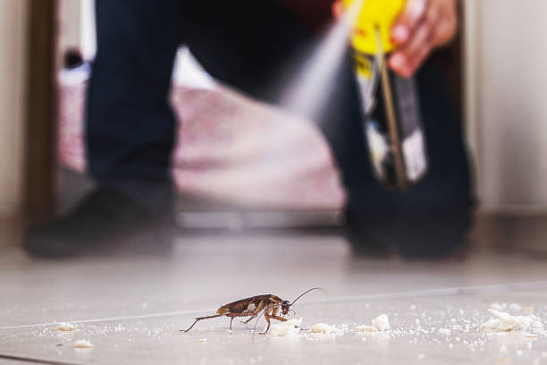 Reliable La Grande, OR Pest Control Solutions